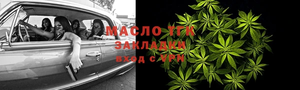 мдпв Инсар