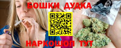 spice Дубна