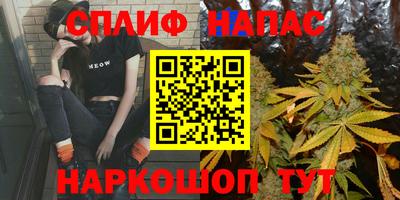 spice Дубна