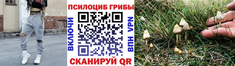 Псилоцибиновые грибы Magic Shrooms  где продают наркотики  Кольчугино 