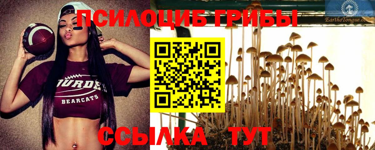 Псилоцибиновые грибы GOLDEN TEACHER  Галлюциногенные грибы мицелий  Кольчугино 